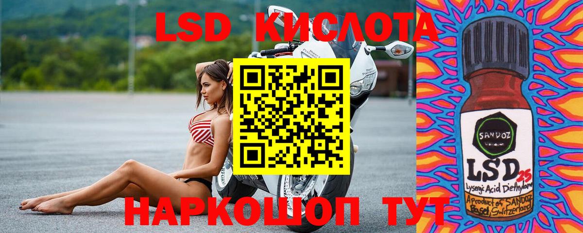 Галлюциногенные грибы Балахна
