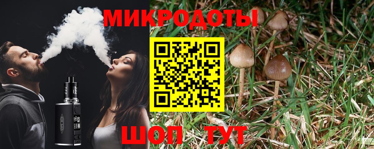 Галлюциногенные грибы мицелий Балахна